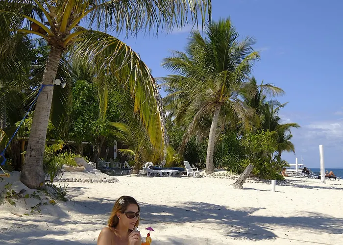 Exotic Island Dive & Logon