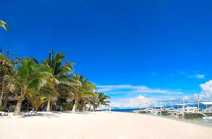 Exotic Island Dive &