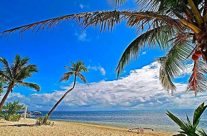 Exotic Island Dive & Logon
