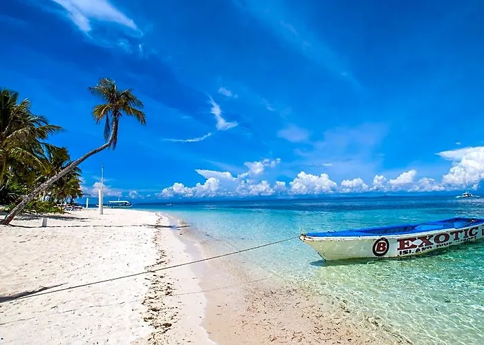 Exotic Island Dive & 3* Logon